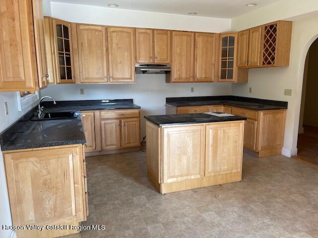 kitchen featuring a kitchen island and sink