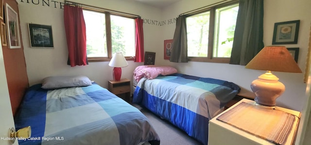 176 Rusk Hollow Rd, Hunter, NY 12442 - view of bedroom