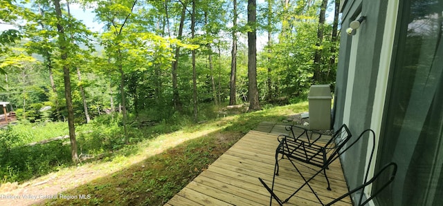 176 Rusk Hollow Rd, Hunter, NY 12442 - view of wooden deck