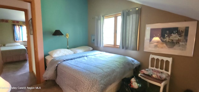 176 Rusk Hollow Rd, Hunter, NY 12442 - carpeted bedroom featuring lofted ceiling