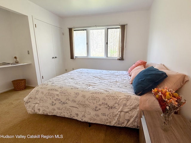 carpeted bedroom with a closet
