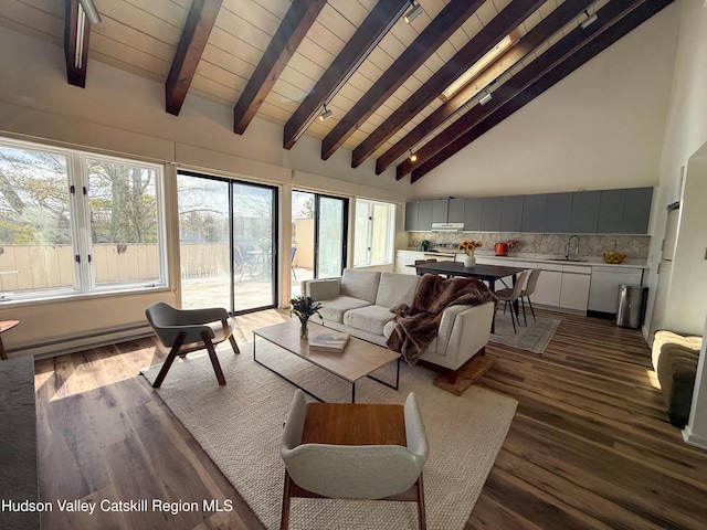 living area with beamed ceiling, high vaulted ceiling, dark wood-type flooring, wooden ceiling, and a baseboard radiator