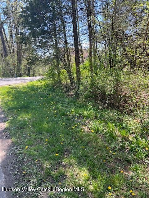 4 Catskill Ct, Athens, NY 12015