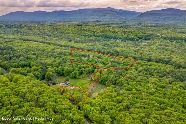 0 Mossy Hill Rd, Catskill, NY 12414 - photo 10