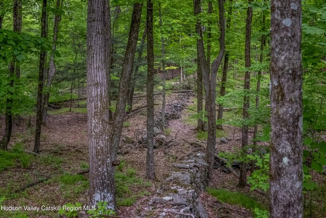 0 Mossy Hill Rd, Catskill, NY 12414 - photo 6