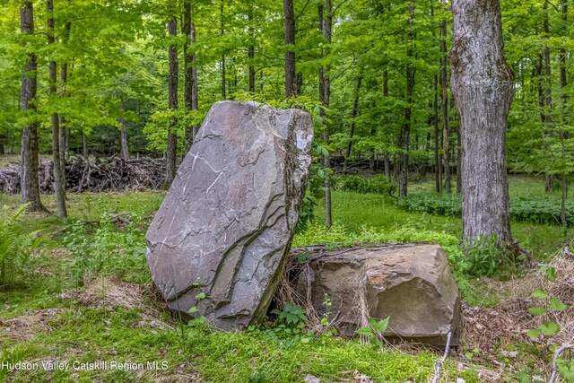0 Mossy Hill Rd, Catskill, NY 12414 - photo 8