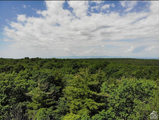 0 Shale Mtn, Austerlitz, NY 12017