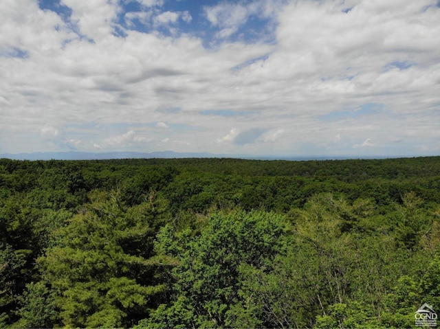 0 Shale Mtn, Austerlitz, NY 12017
