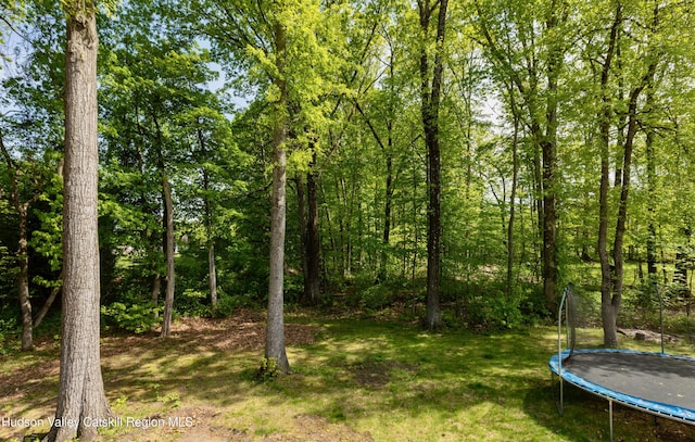 33 Camelot Ct, Saugerties, NY 12477 - view of grassy yard featuring a trampoline