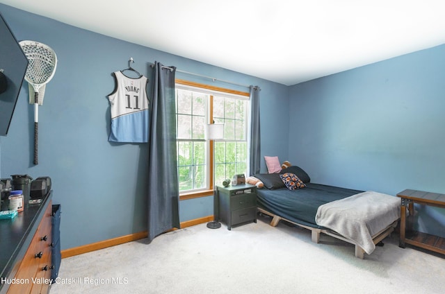 33 Camelot Ct, Saugerties, NY 12477 - bedroom with multiple windows, light carpet, and baseboards