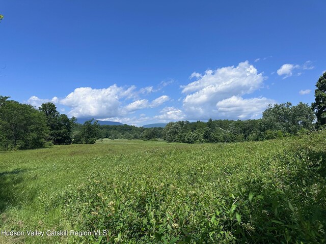 Tbd W Camp, Saugerties, NY 12477 - photo 5