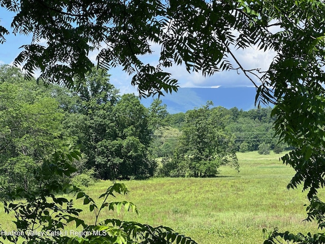 Tbd W Camp, Saugerties, NY 12477 - photo 4