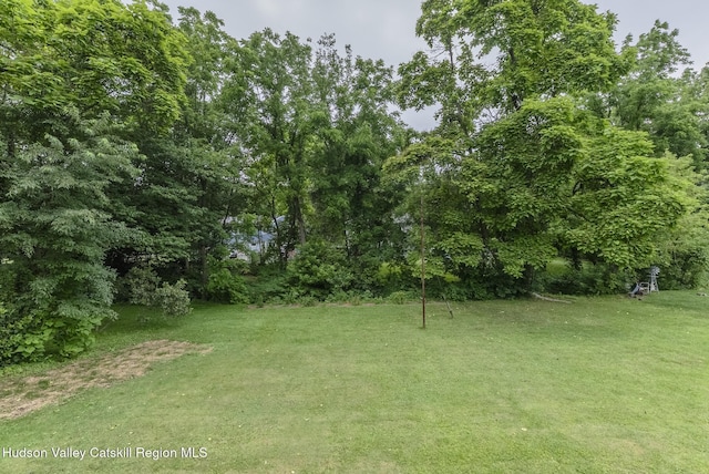 3 Esther Pl, Lake Katrine, NY 12449 - photo 46