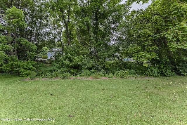 3 Esther Pl, Lake Katrine, NY 12449 - photo 47