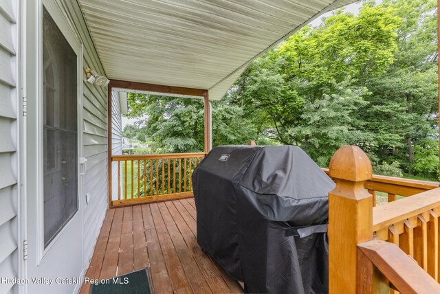 3 Esther Pl, Lake Katrine, NY 12449 - photo 45