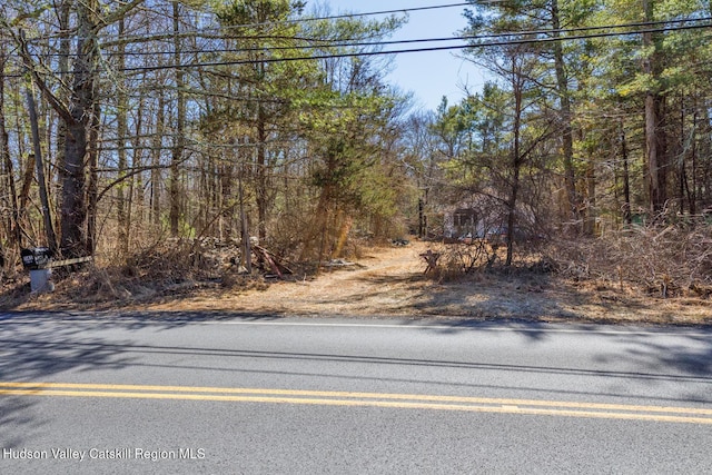 1145 Glasco Tpke, Saugerties, NY 12477 - view of asphalt road with a wooded view