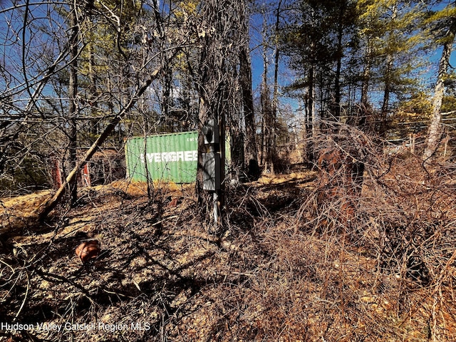1145 Glasco Tpke, Saugerties, NY 12477 - view of undeveloped land