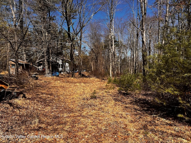 1145 Glasco Tpke, Saugerties, NY 12477 - view of street