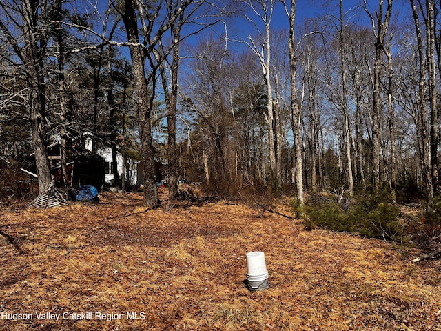 1145 Glasco Tpke, Saugerties, NY 12477 - view of yard