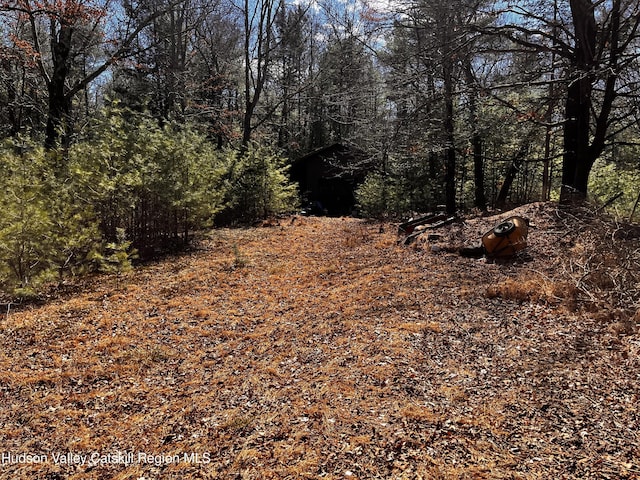 1145 Glasco Tpke, Saugerties, NY 12477 - view of nature