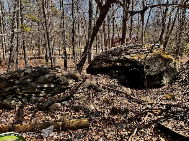 1145 Glasco Tpke, Saugerties, NY 12477 - view of local wilderness
