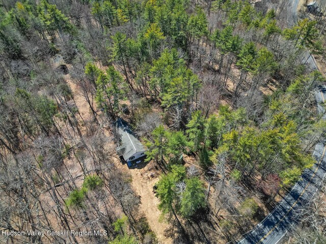 1145 Glasco Tpke, Saugerties, NY 12477 - bird's eye view