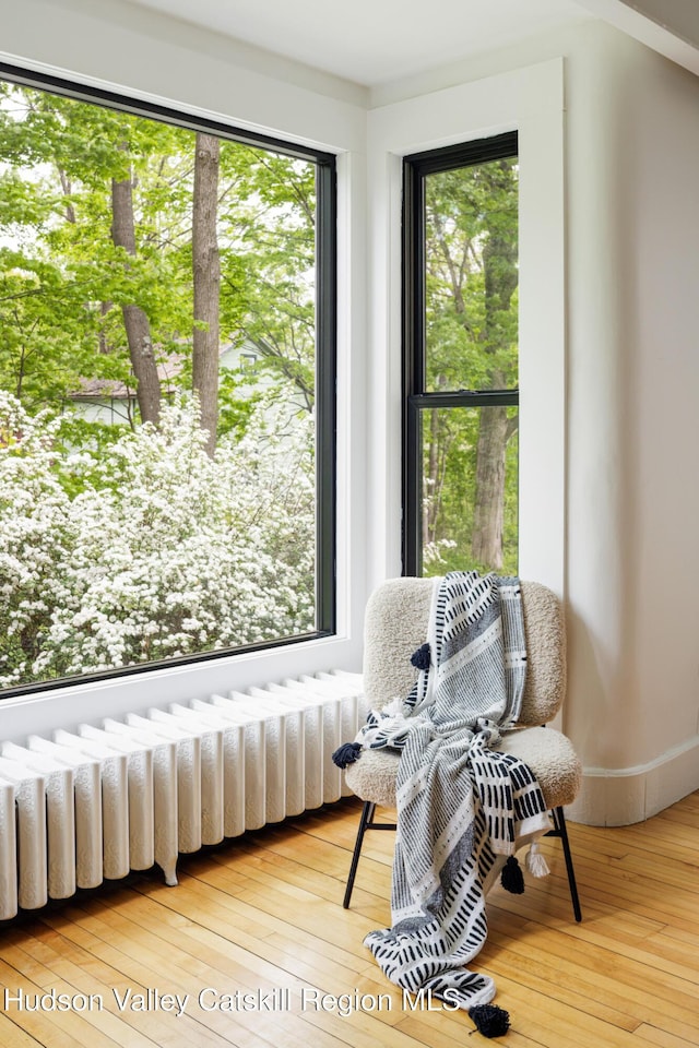 14 Bushnell Ave, Chatham, NY 12037 - sitting room with light wood-style flooring and baseboards