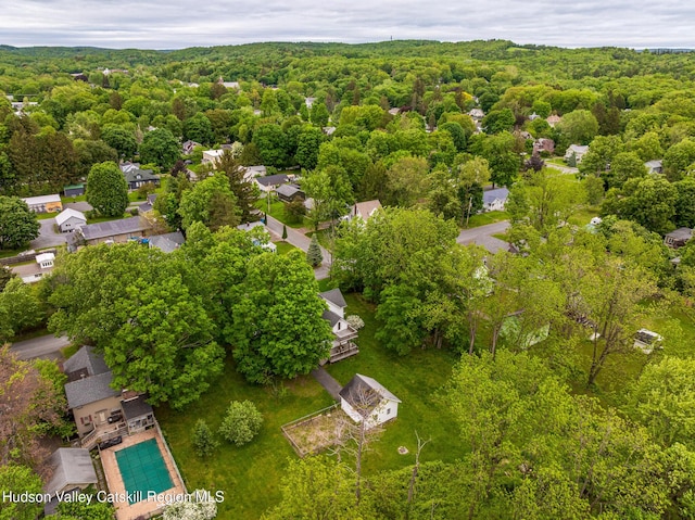 14 Bushnell Ave, Chatham, NY 12037 - drone / aerial view of a forest and a pool area