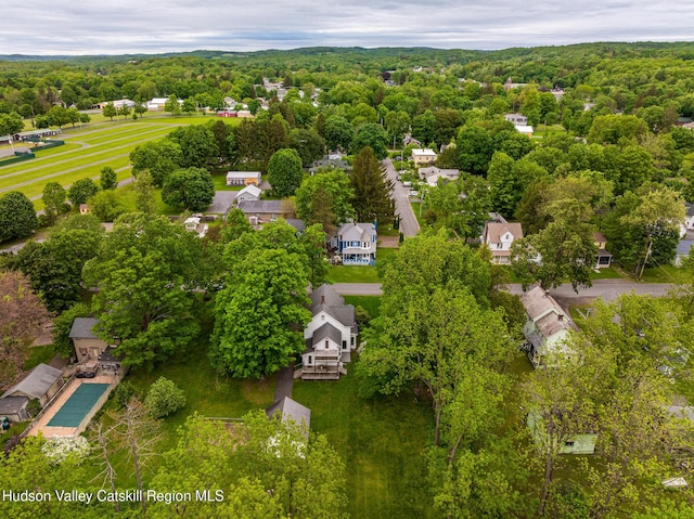 14 Bushnell Ave, Chatham, NY 12037 - bird's eye view of a forest
