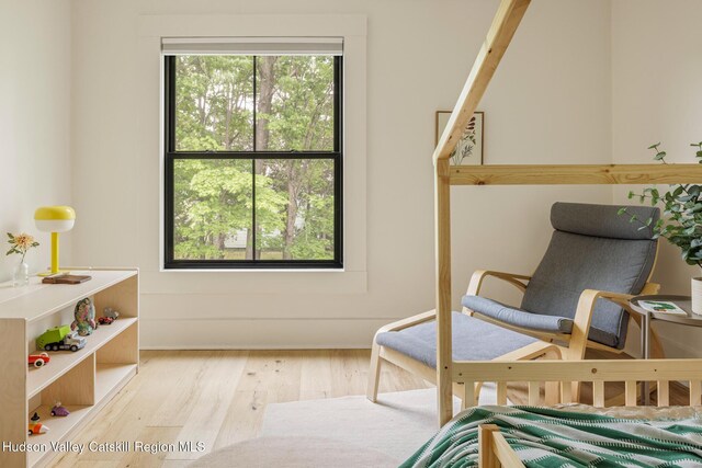 14 Bushnell Ave, Chatham, NY 12037 - bedroom with wood finished floors