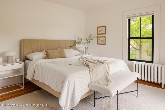 14 Bushnell Ave, Chatham, NY 12037 - bedroom with radiator and wood-type flooring