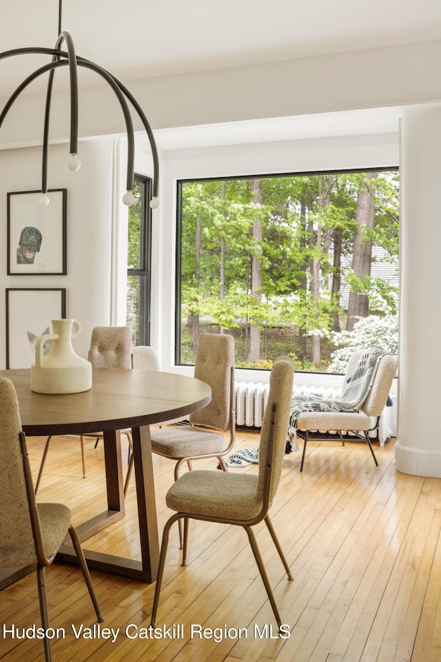 14 Bushnell Ave, Chatham, NY 12037 - dining room featuring light wood-style floors