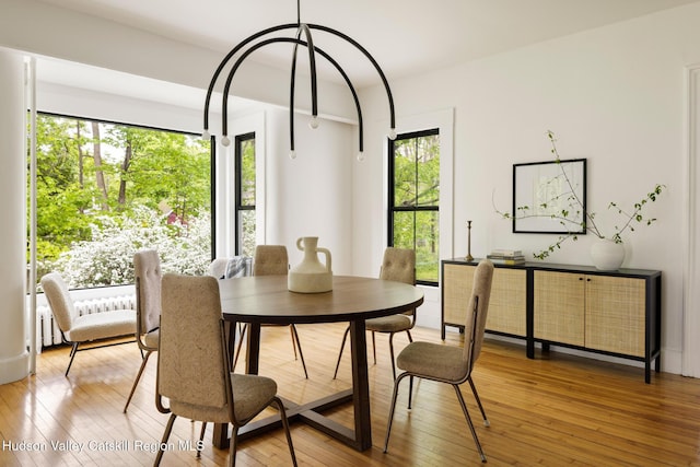 14 Bushnell Ave, Chatham, NY 12037 - dining room featuring light wood-style floors
