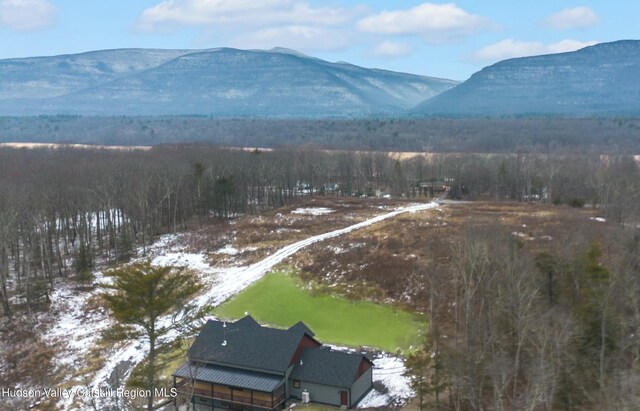 4390 State Route 32, Catskill, NY 12414 - photo 2