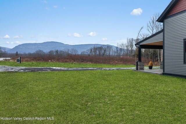 4390 State Route 32, Catskill, NY 12414 - photo 8