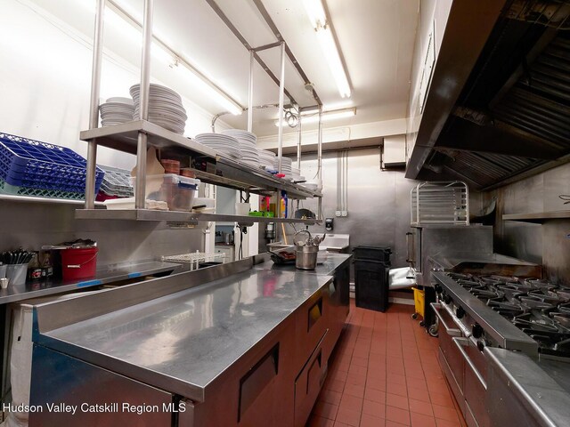 230 Warren St, Hudson, NY 12534 - kitchen with stainless steel counters, tile patterned floors, and stainless steel stove