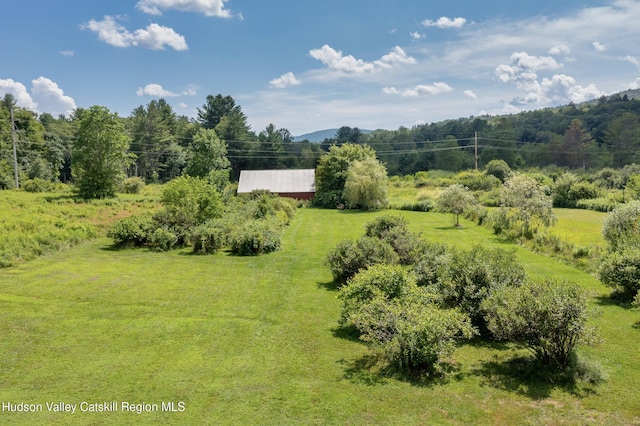 18 Old Queechy Rd, Canaan, NY 12029 - photo 33