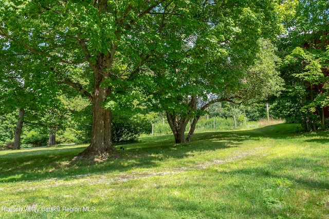 18 Old Queechy Rd, Canaan, NY 12029 - photo 31
