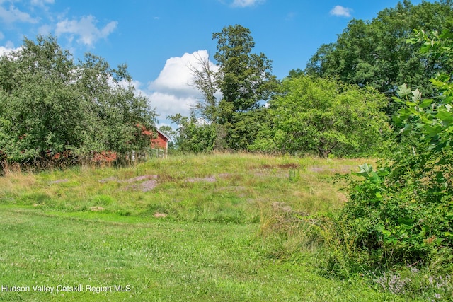 18 Old Queechy Rd, Canaan, NY 12029 - photo 41