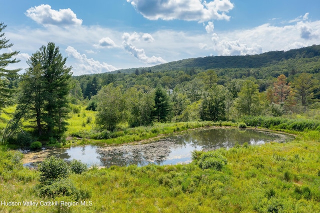 18 Old Queechy Rd, Canaan, NY 12029 - photo 37