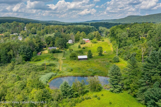 18 Old Queechy Rd, Canaan, NY 12029 - photo 38