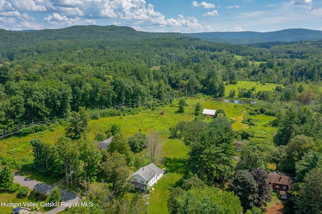18 Old Queechy Rd, Canaan, NY 12029 - photo 49