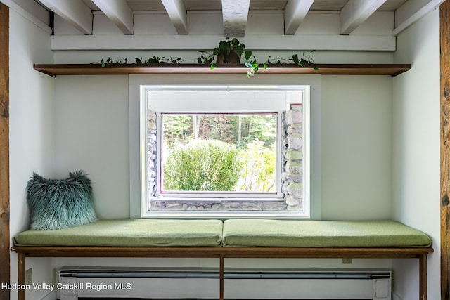 654 Watson Hollow Rd, West Shokan, NY 12494 - detailed view of baseboard heating