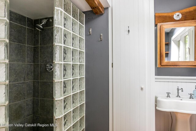 654 Watson Hollow Rd, West Shokan, NY 12494 - full bath featuring walk in shower and a wainscoted wall