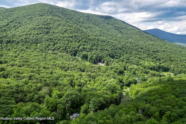 654 Watson Hollow Rd, West Shokan, NY 12494 - mountain view featuring a forest