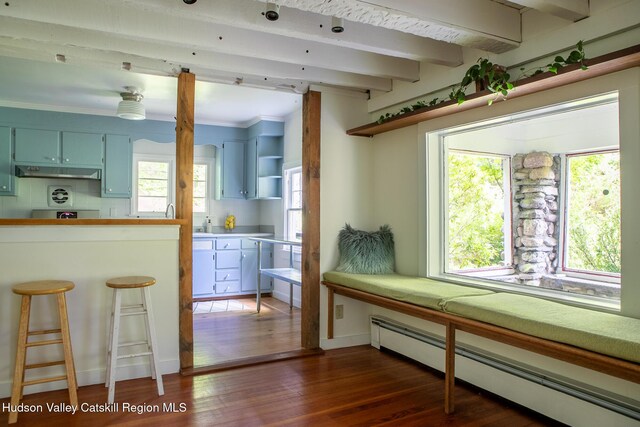 654 Watson Hollow Rd, West Shokan, NY 12494 - kitchen featuring baseboard heating, under cabinet range hood, open shelves, dark wood-style floors, and beam ceiling