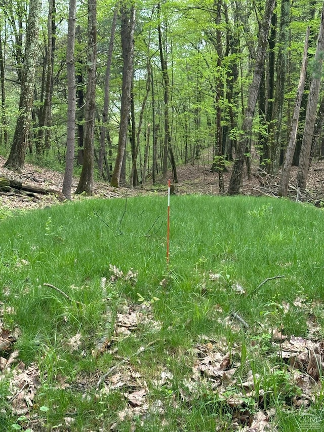 2227 County Route 21, Kinderhook, NY 12106 - photo 13