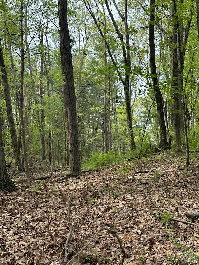 2227 County Route 21, Kinderhook, NY 12106 - photo 16