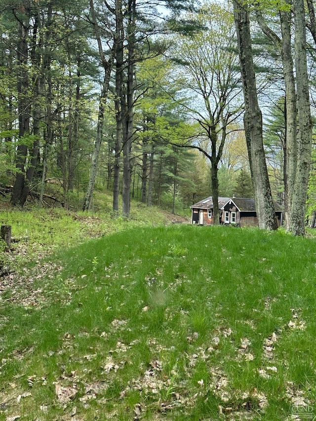 2227 County Route 21, Kinderhook, NY 12106 - photo 15