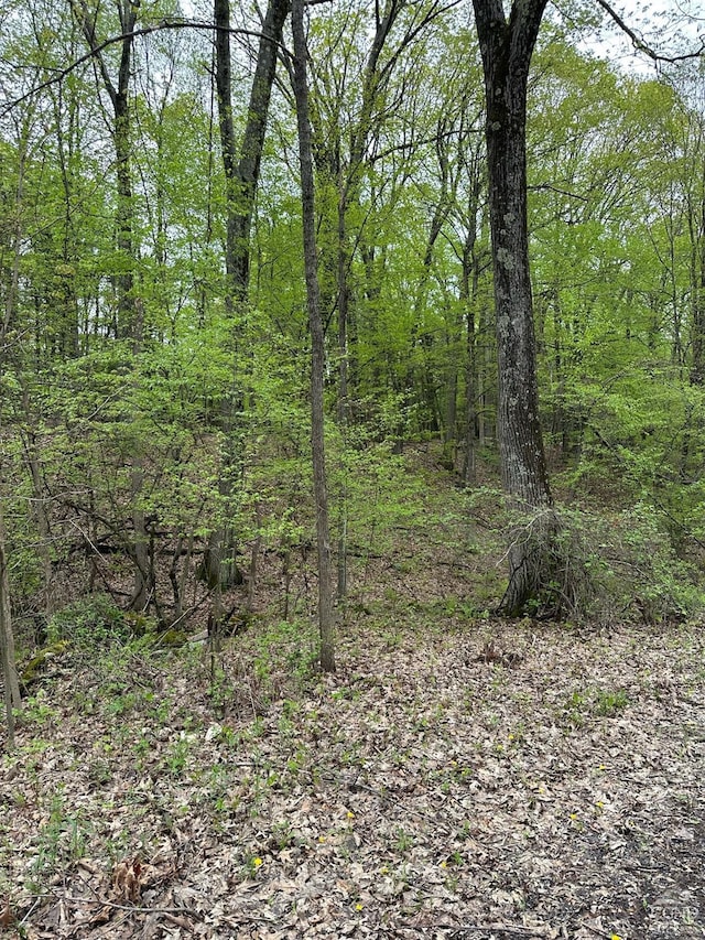 2227 County Route 21, Kinderhook, NY 12106 - photo 18